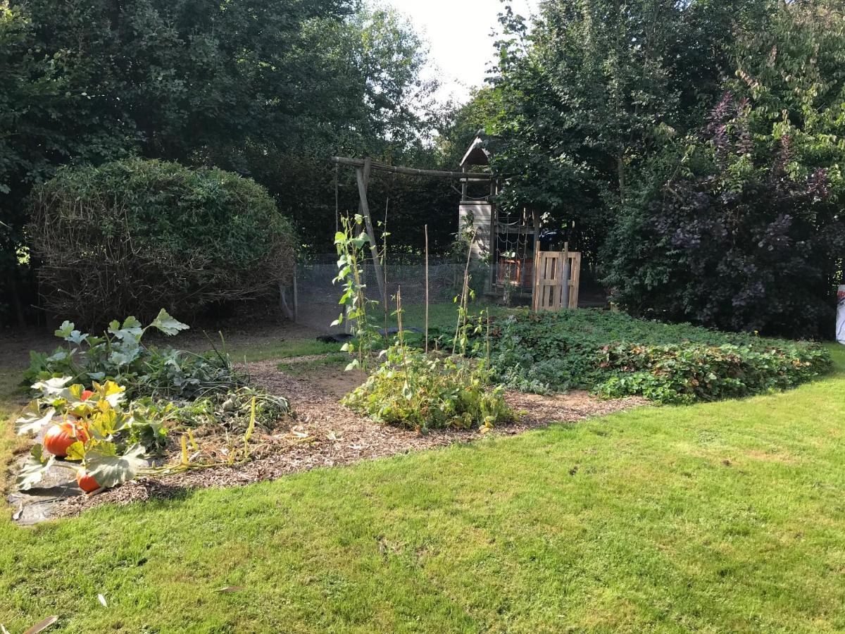 La Suite Cosy - Votre Pause Arborée La Bruyere Exterior foto