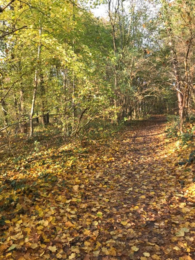 La Suite Cosy - Votre Pause Arborée La Bruyere Exterior foto