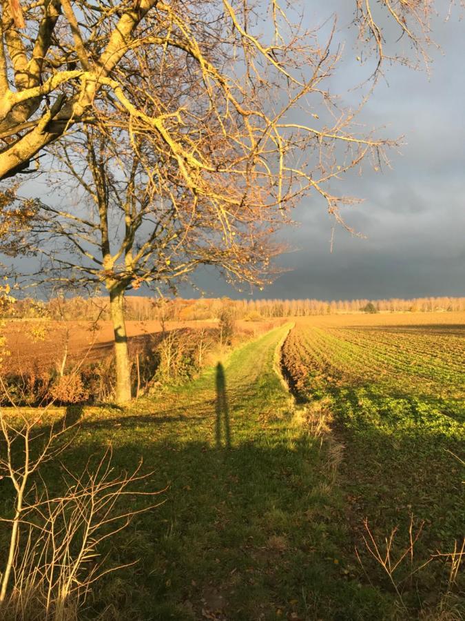 La Suite Cosy - Votre Pause Arborée La Bruyere Exterior foto