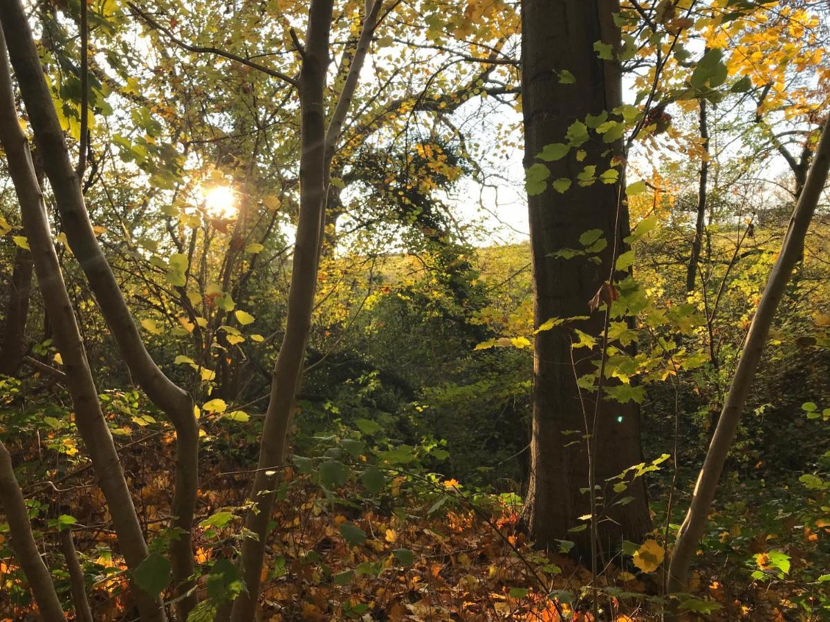 La Suite Cosy - Votre Pause Arborée La Bruyere Exterior foto