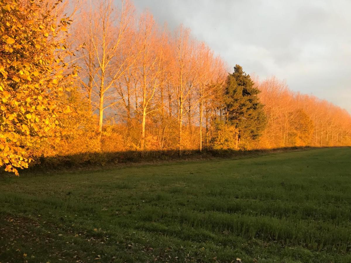 La Suite Cosy - Votre Pause Arborée La Bruyere Exterior foto