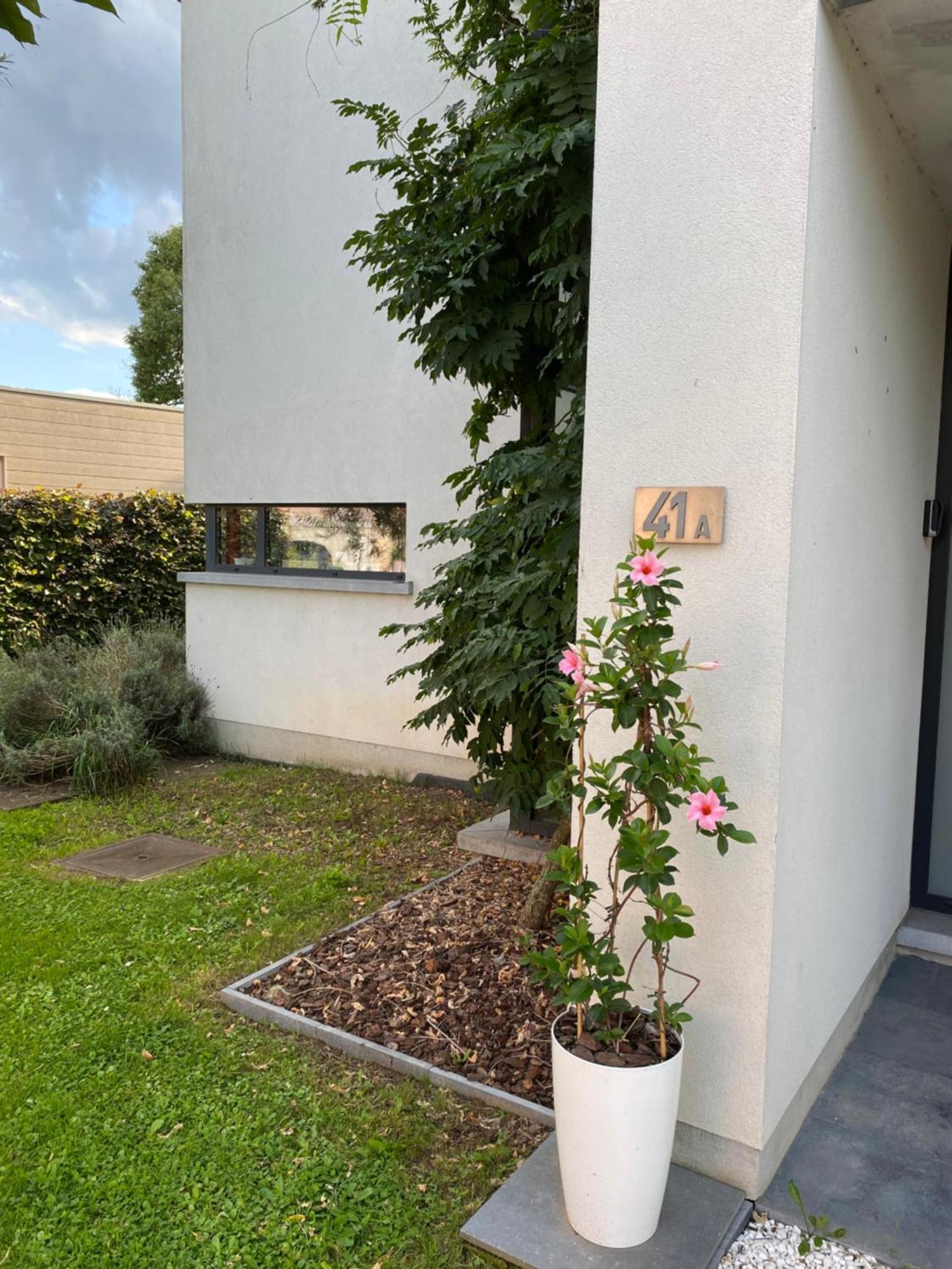 La Suite Cosy - Votre Pause Arborée La Bruyere Exterior foto